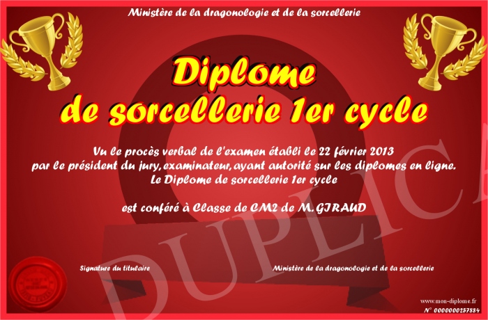 diplome 1er cycle